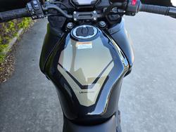 2023 Kawasaki VERSYS 650L (KLE650H) Green