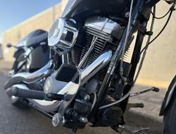 2010 Harley-Davidson Softail Standard 1584 EFI (FXSTI)