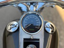 2010 Harley-Davidson Softail Standard 1584 EFI (FXSTI)