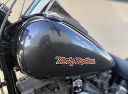 2010 Harley-Davidson Softail Standard 1584 EFI (FXSTI)
