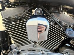 2010 Harley-Davidson Softail Standard 1584 EFI (FXSTI)