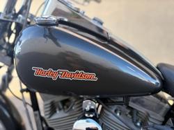2010 Harley-Davidson Softail Standard 1584 EFI (FXSTI)