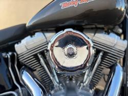 2010 Harley-Davidson Softail Standard 1584 EFI (FXSTI)