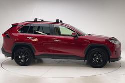 2021 Toyota RAV4 Cruiser