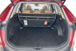 2021 Toyota RAV4 Cruiser