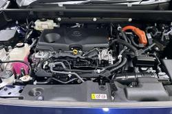 2019 Toyota RAV4 Cruiser