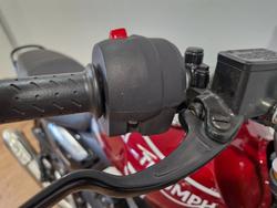 2024 Triumph 2024 Triumph 400CC Speed 400 RED