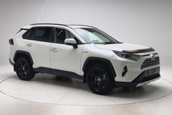 2020 Toyota RAV4 Cruiser