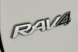 2020 Toyota RAV4 Cruiser