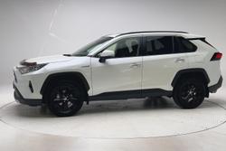 2020 Toyota RAV4 Cruiser