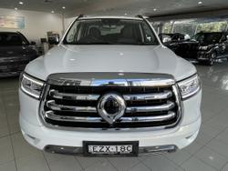 2022 GWM Ute Cannon-X