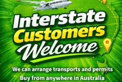 2020 Ford Transit 350L