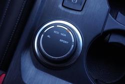 2021 GWM Ute Cannon-L