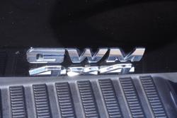 2021 GWM Ute Cannon-L