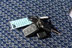 2024 Isuzu N Series NLR 45-150