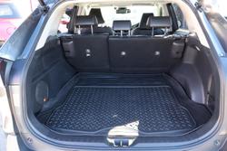 2021 Toyota RAV4 Cruiser