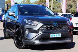 2021 Toyota RAV4 Cruiser