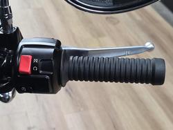 2021 INDIAN SCOUT Blue