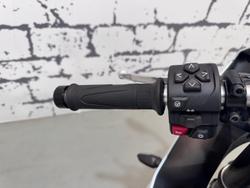 2024 Triumph Daytona 660 LAMS Daytona White