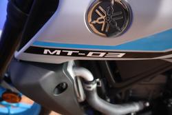 2025 Yamaha MT-03 (MT03LA) (ABS)