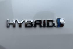 2024 Toyota RAV4 Cruiser