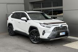 2024 Toyota RAV4 Cruiser