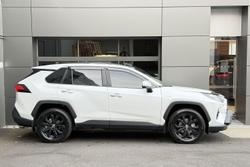 2024 Toyota RAV4 Cruiser