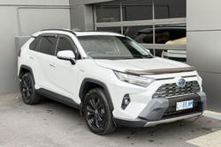 2024 Toyota RAV4 Cruiser