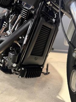 2026 Harley-Davidson Low Rider ST 117 (FXLRST) Softail White