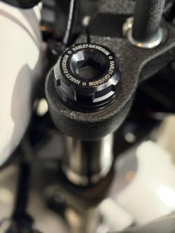 2026 Harley-Davidson Low Rider ST 117 (FXLRST) Softail White