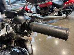 2019 Harley-Davidson Fat Boy 114 (FLFBS) Softail Black