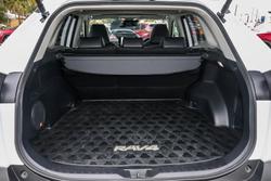 2024 Toyota RAV4 Cruiser