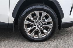 2024 Toyota RAV4 Cruiser