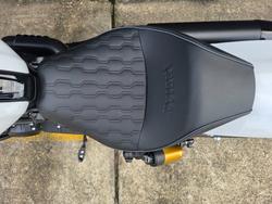 2025 Indian SCOUT 101 LIMITED GHOST WHITE METALLIC