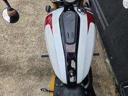 2025 Indian SCOUT 101 LIMITED GHOST WHITE METALLIC