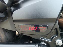 2025 Indian SCOUT 101 LIMITED GHOST WHITE METALLIC