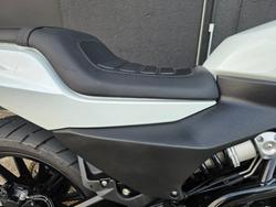 2023 HARLEY-DAVIDSON HD350-10 H-DX X350 WHITE