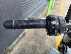 2023 HARLEY-DAVIDSON HD350-10 H-DX X350 WHITE