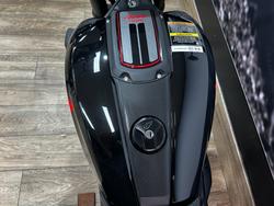 2023 INDIAN FTR SPORT Black