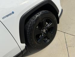 2020 Toyota RAV4 Cruiser