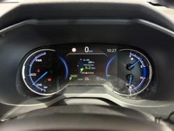 2020 Toyota RAV4 Cruiser