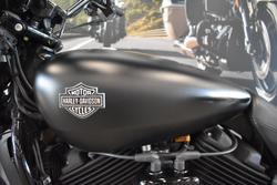 2020 HARLEY-DAVIDSON XG500 STREET 500