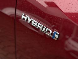 2023 Toyota RAV4 Cruiser