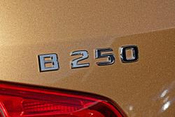 2013 Mercedes-Benz B-Class B250