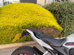 2021 Honda CBR650R Grey