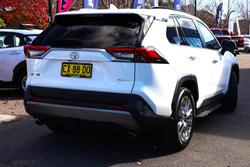 2020 Toyota RAV4 Cruiser