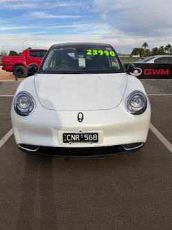 2025 GWM Ora Standard Range