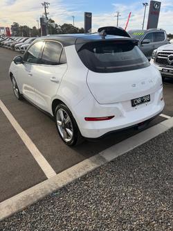 2025 GWM Ora Standard Range