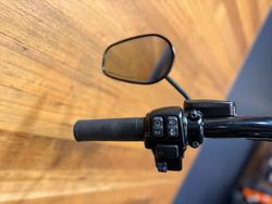 2017 HARLEY-DAVIDSON FLSS SOFTAIL SLIM S