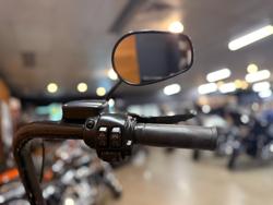 2017 HARLEY-DAVIDSON FLSS SOFTAIL SLIM S